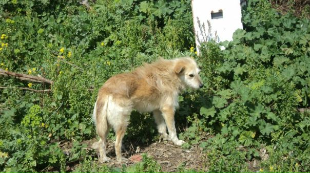 №46, Hamza Methanni, Омск №46, Hamza Methanni, Омск