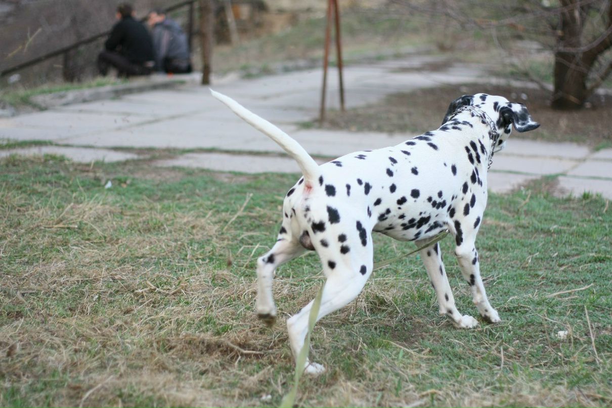 Славик Аджигитов | Москва