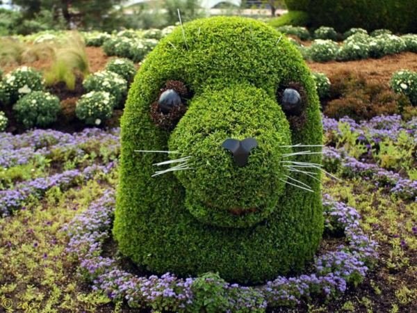 Венера Гаянова | Уфа