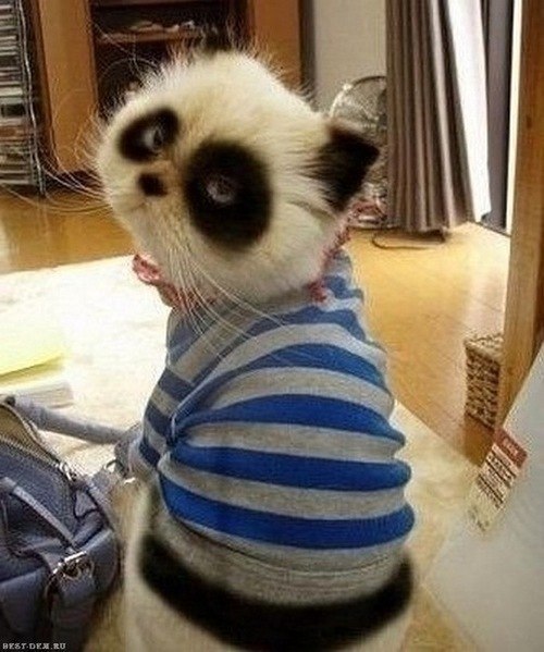 Любовь Бабкина | Санкт-Петербург