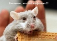 Анна Семёнова | Пермь