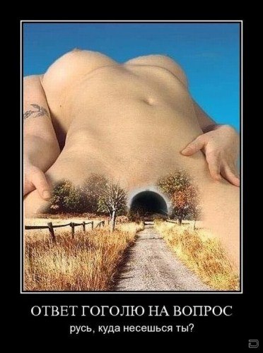 Павел Николаев | Совхоза «Россия»