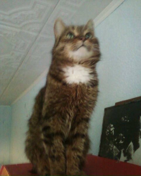 №20, Серега Глазунов, 36 лет, Уфа №20, Серега Глазунов, 36 лет, Уфа