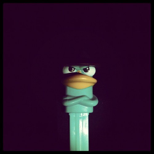 Надя Адушева | Самара