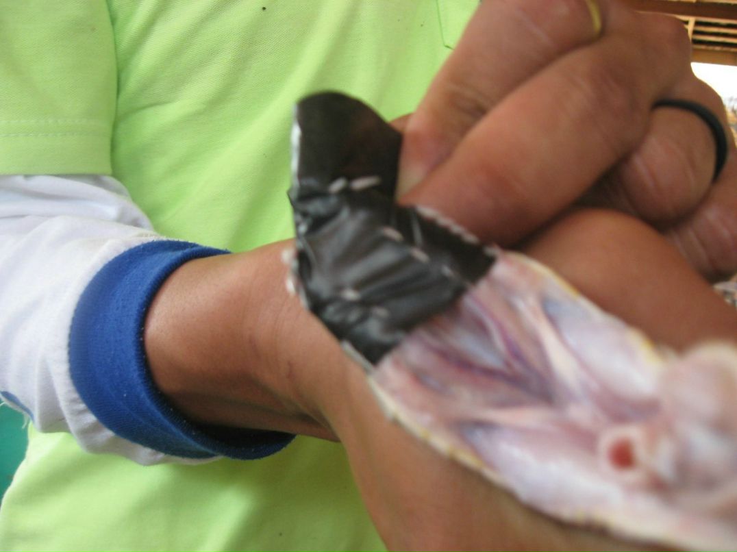 Екатерина Кудревич | Санкт-Петербург