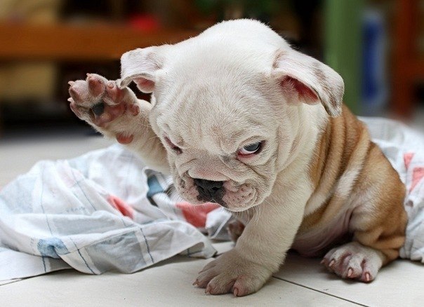 Ксюша Славинская | Washington, D.C.