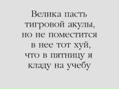 №20 Александра Пахомова 27.11.1992: профиль, фото, статус - ВКонтакте №20 Александра Пахомова 27.11.1992: профиль, фото, статус - ВКонтакте
