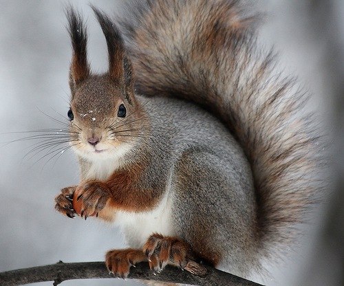 Ольга Романова | Казань