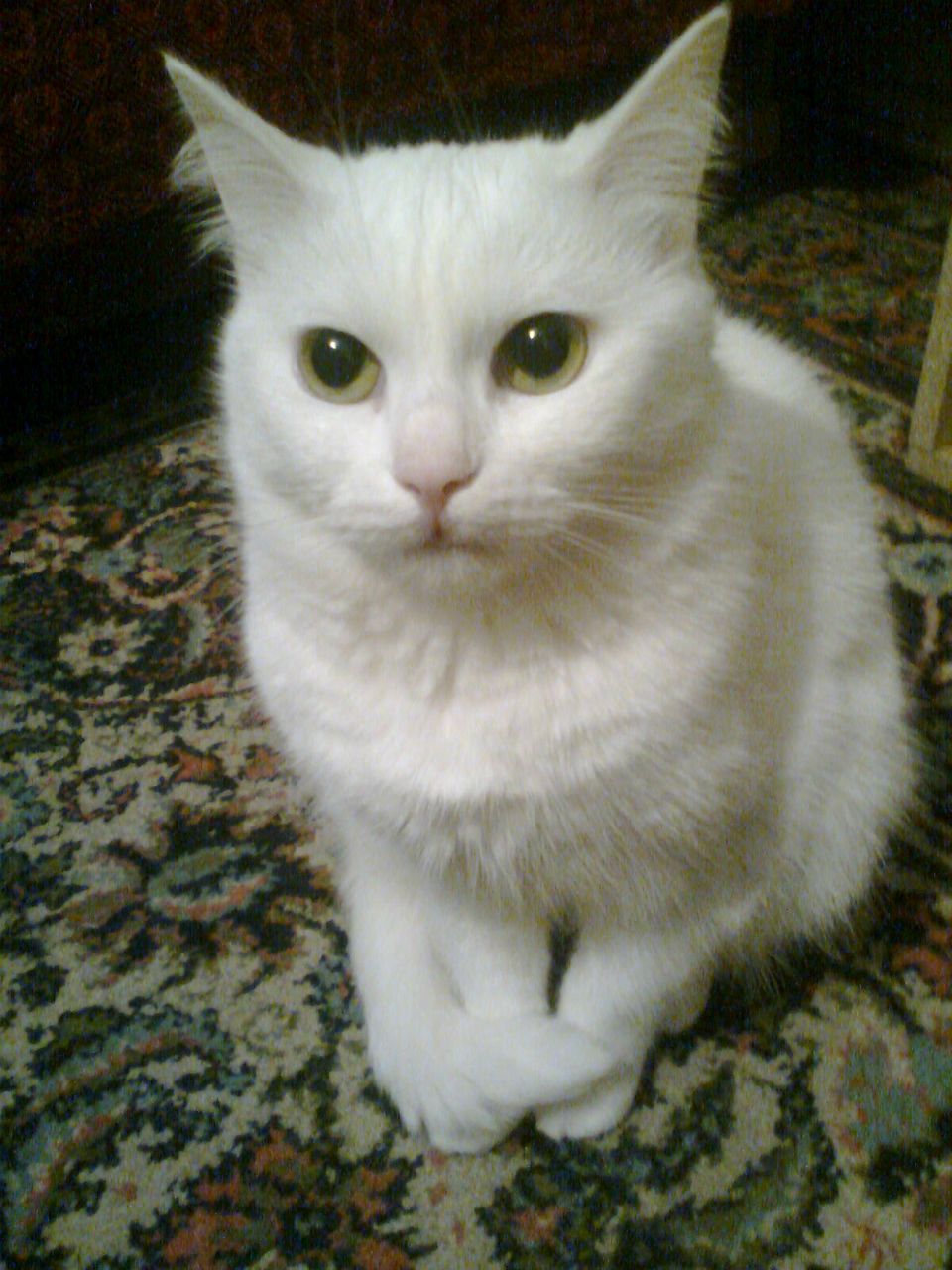 Игорь Воронин | 