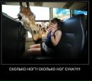 Фотография Иван Кудрин