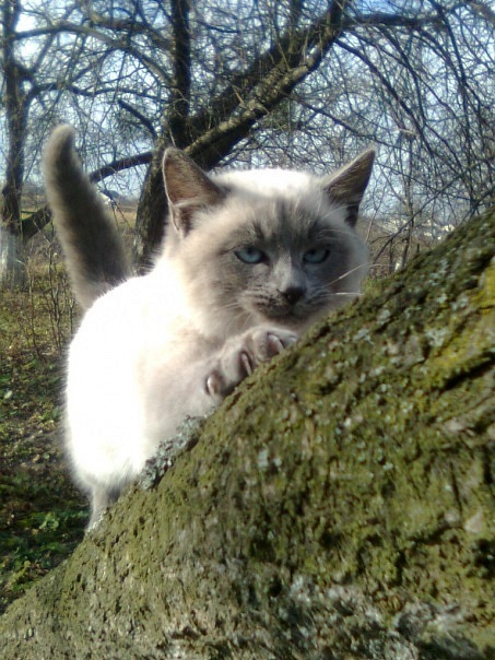 Marta Burak фото со стены #4