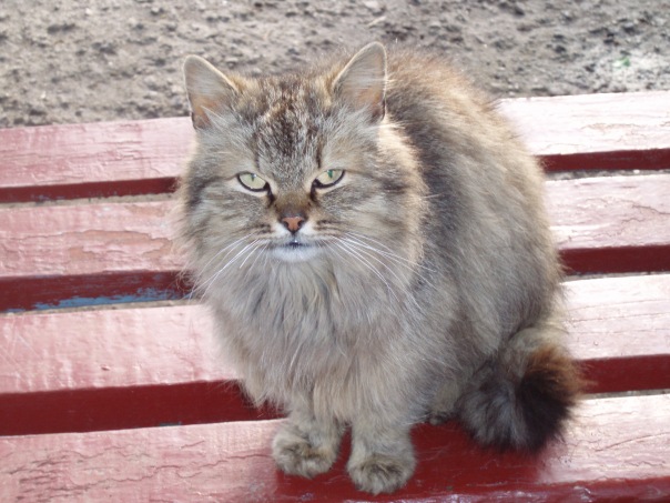 №3, Александр Александров, Мариуполь №3, Александр Александров, Мариуполь