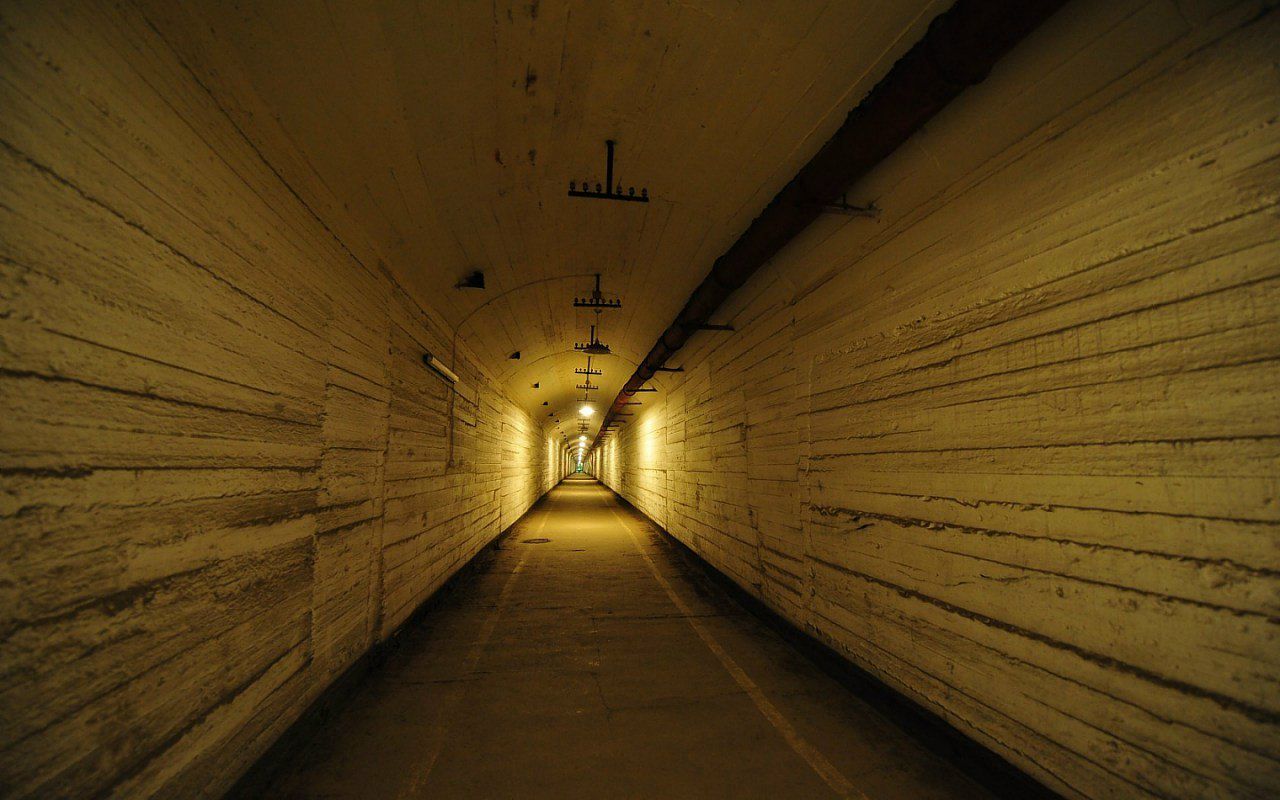 Никита Силаев | Алматы