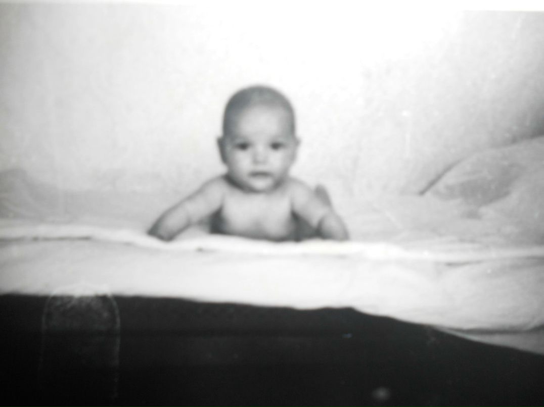 Лейла Турчанинова | 