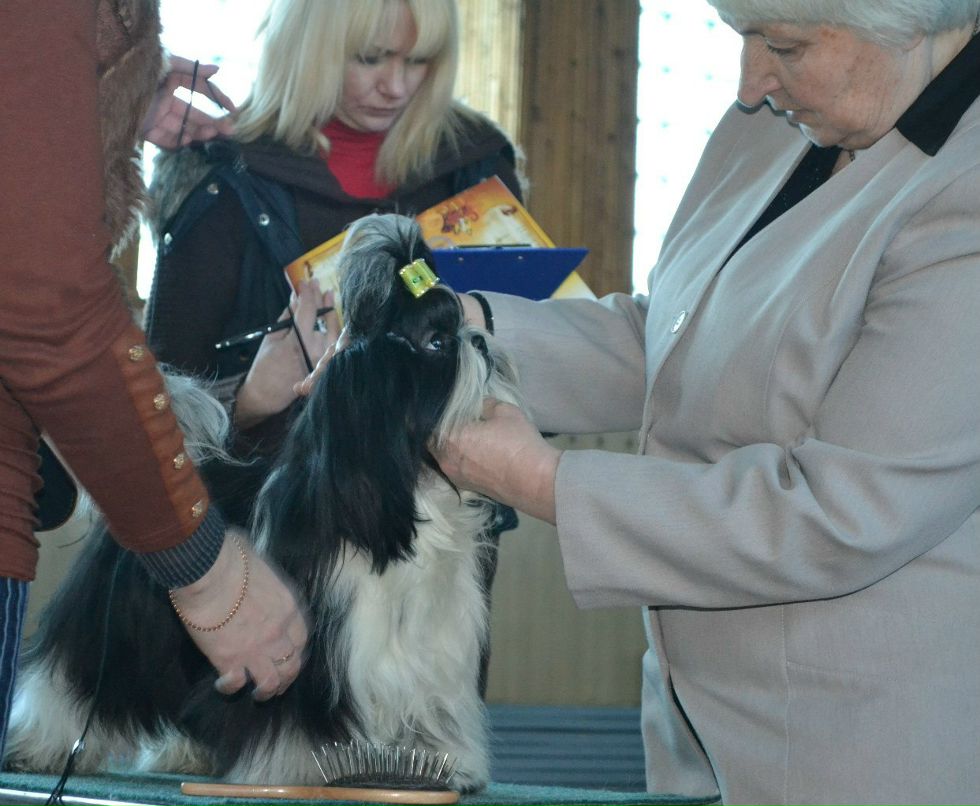 Оля Фартушна | Кривой Рог