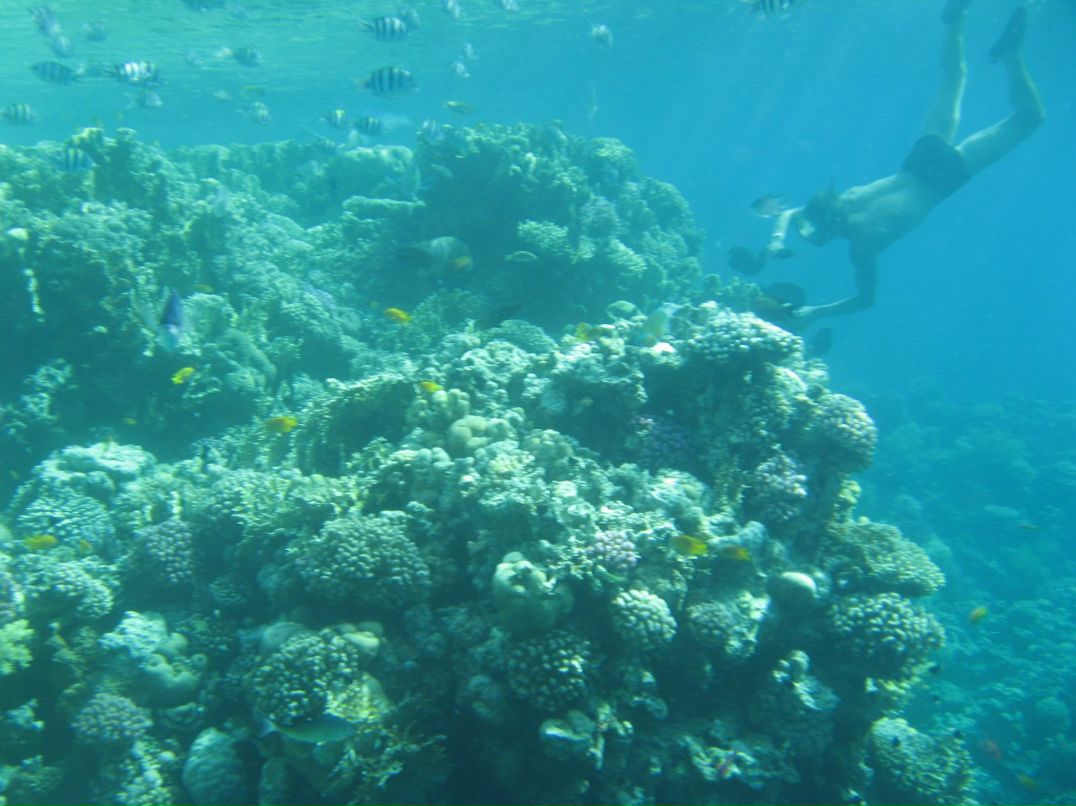 Надежда Кропачева | Киров