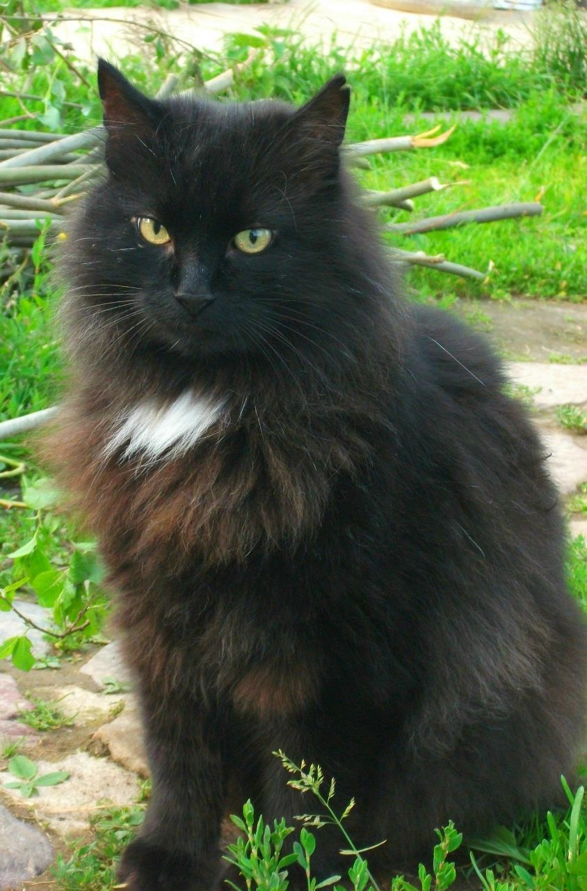 Ирина Сергеевна | Петрозаводск