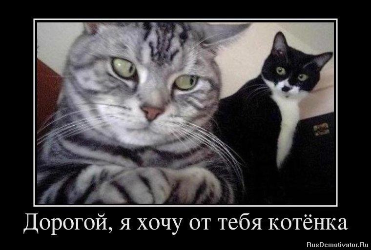 Иван Сологуб | Полтава