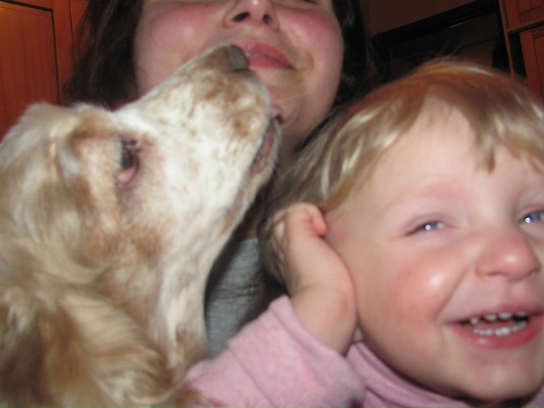 Евгения Шапиро Анатольевна -Я | Москва