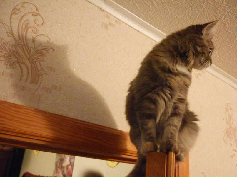 Евгения Кулешова | Тамбов