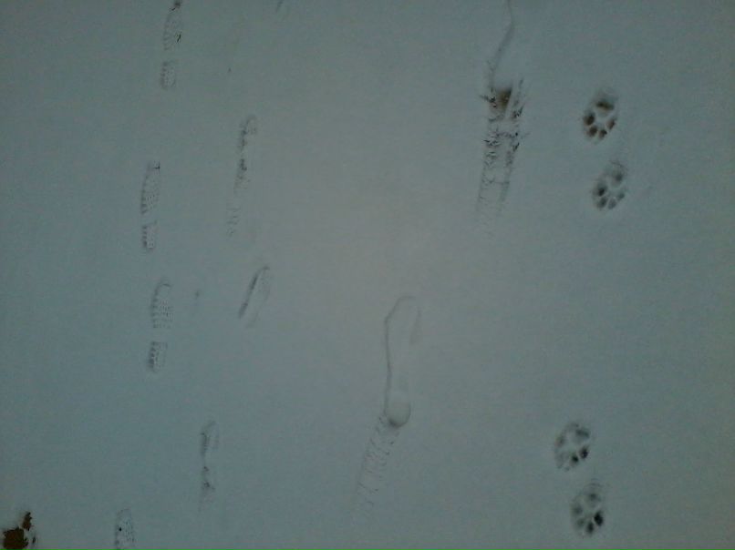 Ольга Чекмарева | Ростов-на-Дону