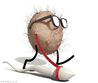 Николай Пшегодский | Нежин