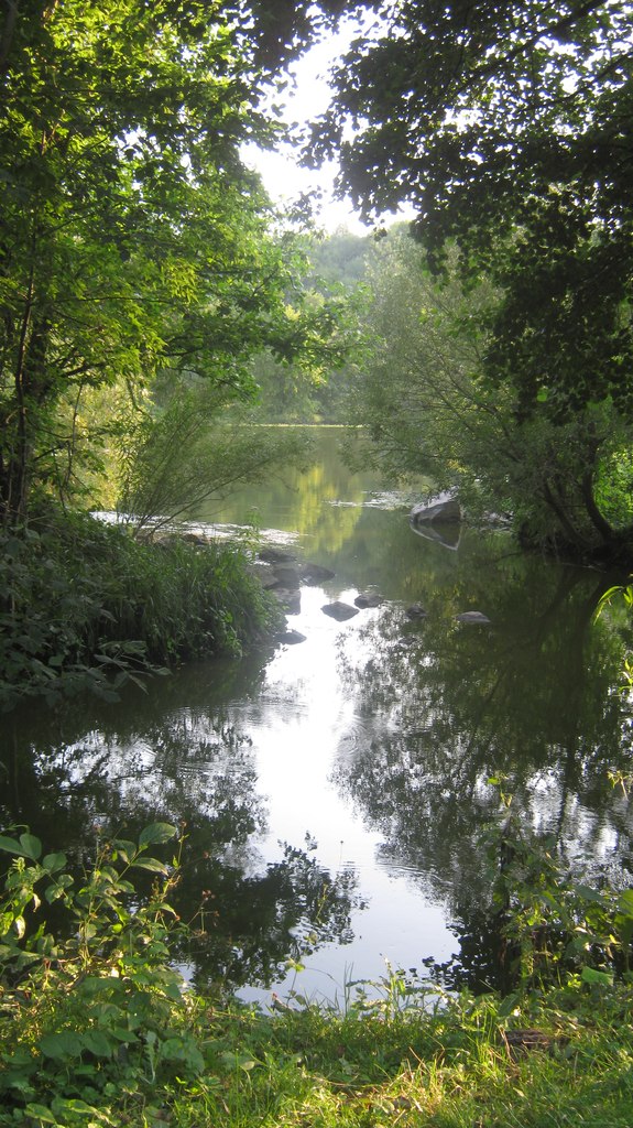 Влад Роїк !!!!!!!!!!!!!!!!Батькович!!!!!!! | Киев