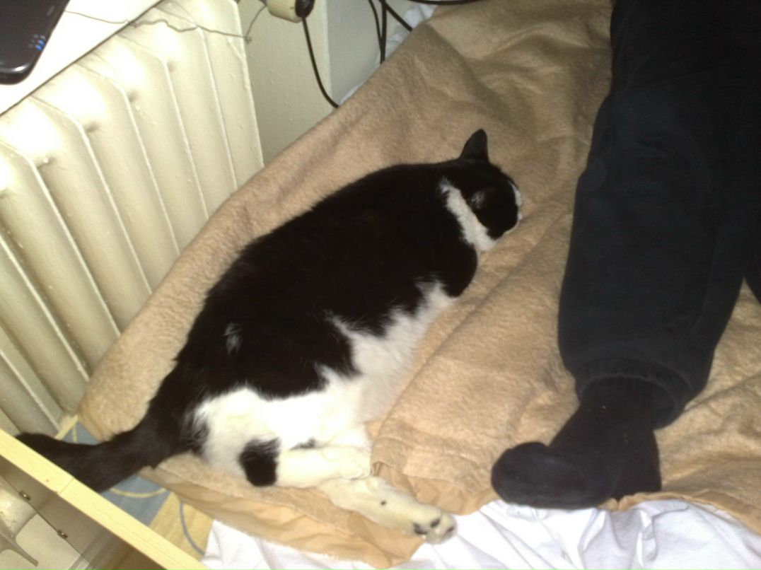 Антон Иньянов Рабикоф | 