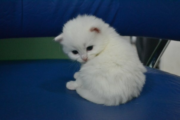 Наталья Луговых Natali | Сургут