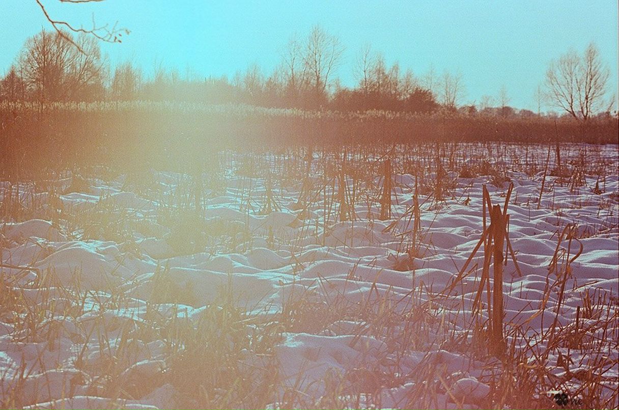 Алексей Осипов | Минск