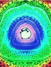 Петр Лаплас | Lautoka