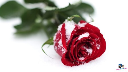 Ляйсан Усманова | Уфа