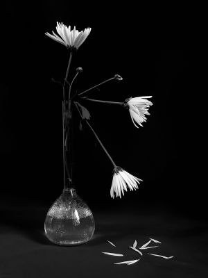 Каришка Павлюхина | Харьков