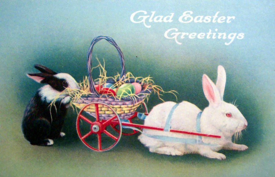 Юрий Машков 'brahman' | Рязань