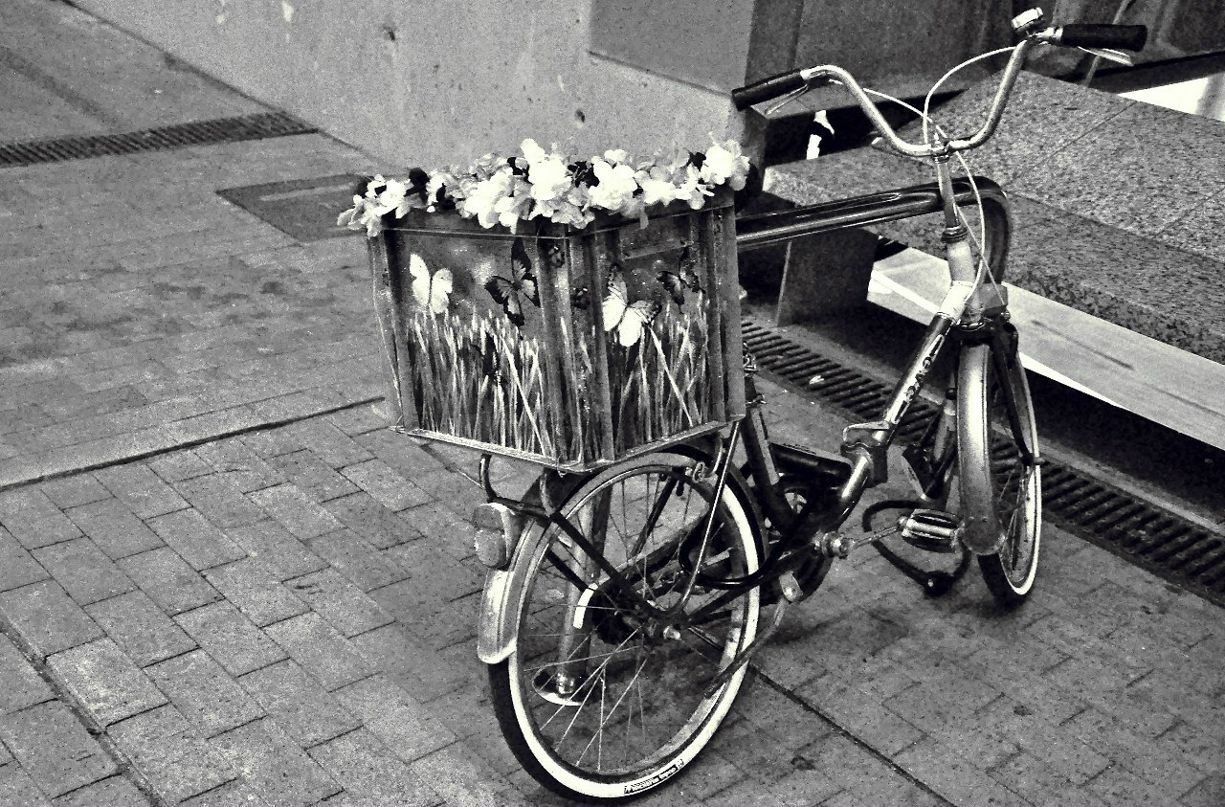 Варёк Белова | 