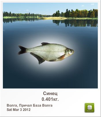 Александр Силин | Великие Луки