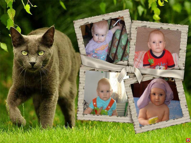 №103, Машенька Морозова, 37 лет, Апатиты №103, Машенька Морозова, 37 лет, Апатиты