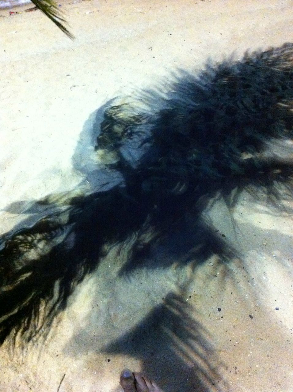 Евгений Николаев ен | Красноярск