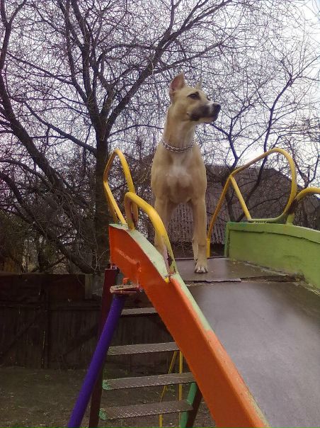 №150, Лена Гаранина №150, Лена Гаранина