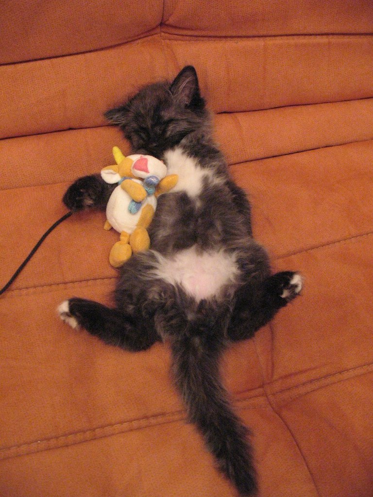 Евгения Емшанова | Екатеринбург