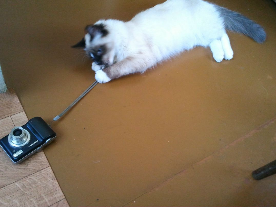 Танюшка Смирнова ♥люблю Питер♥ | Калининград