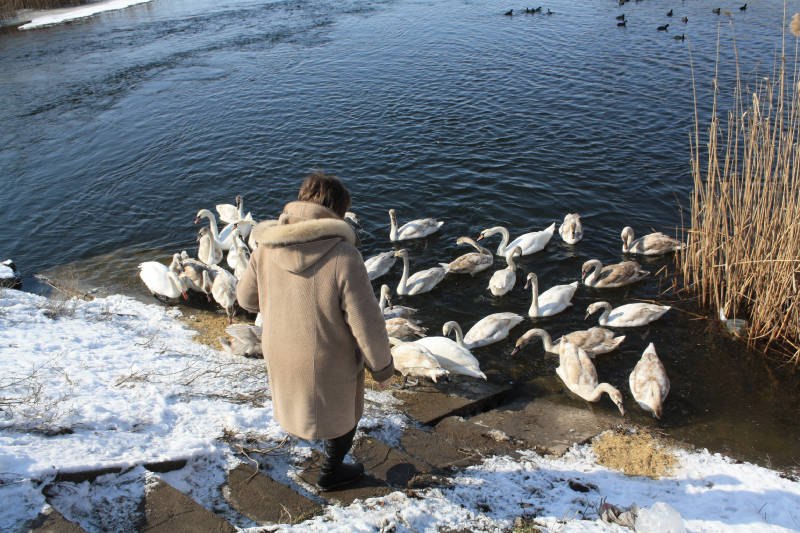 Сергей Пономарев | Краснодар