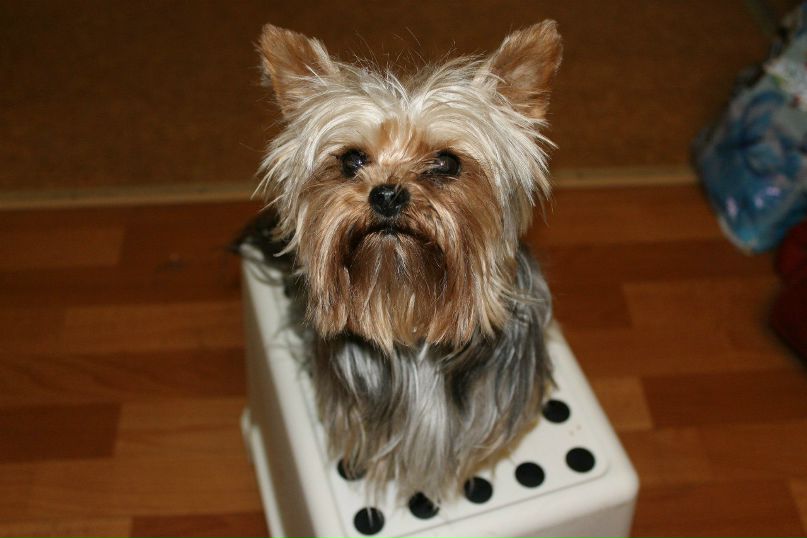 Анастасия Толстова | Самара