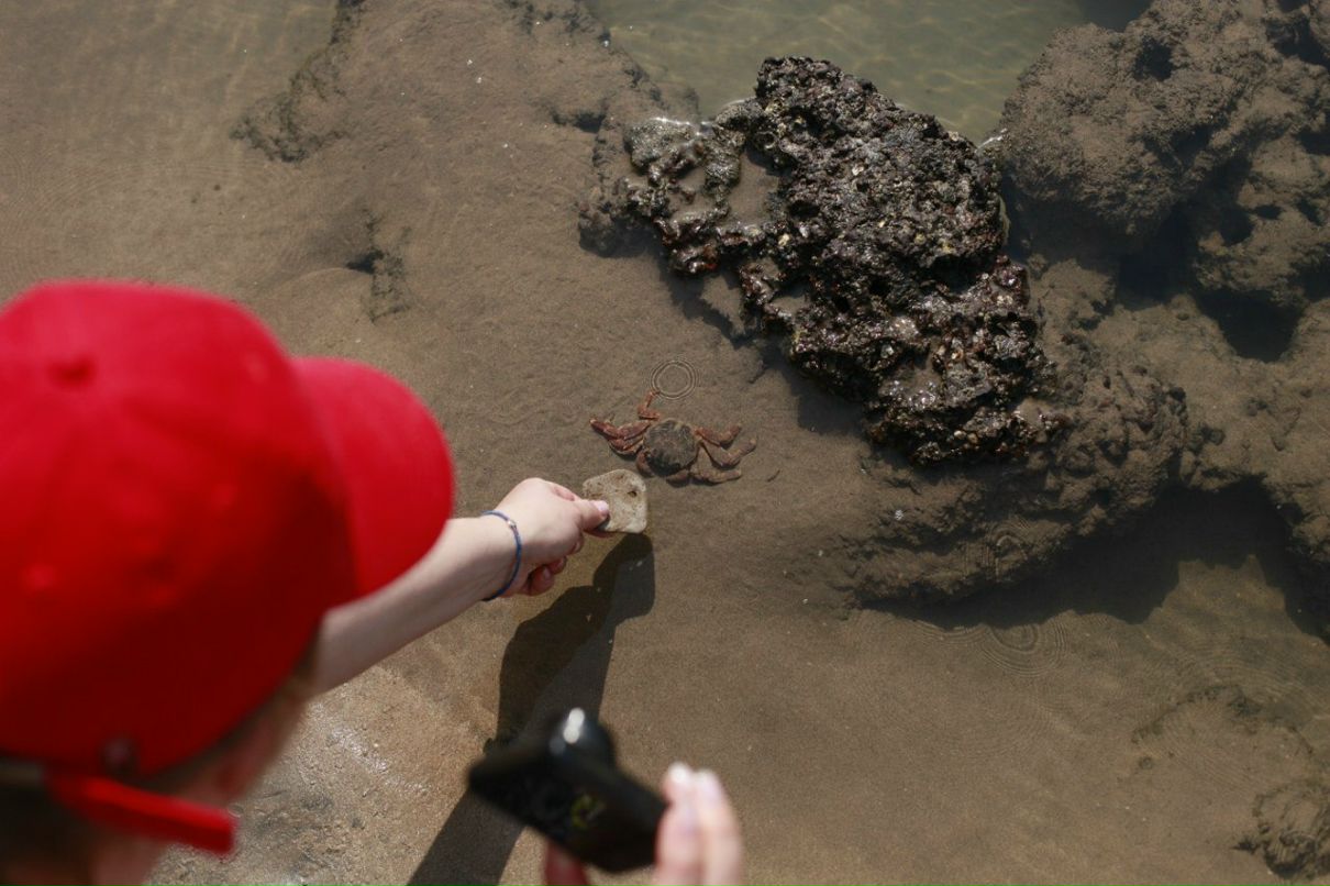 Мария Михайлова | Протвино