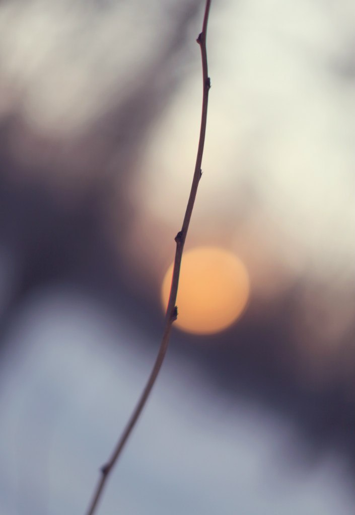 Инна Макеенко | Москва