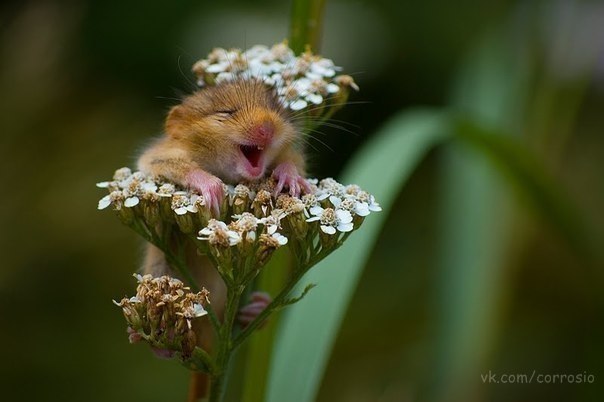 Марат Исламгулов | Уфа