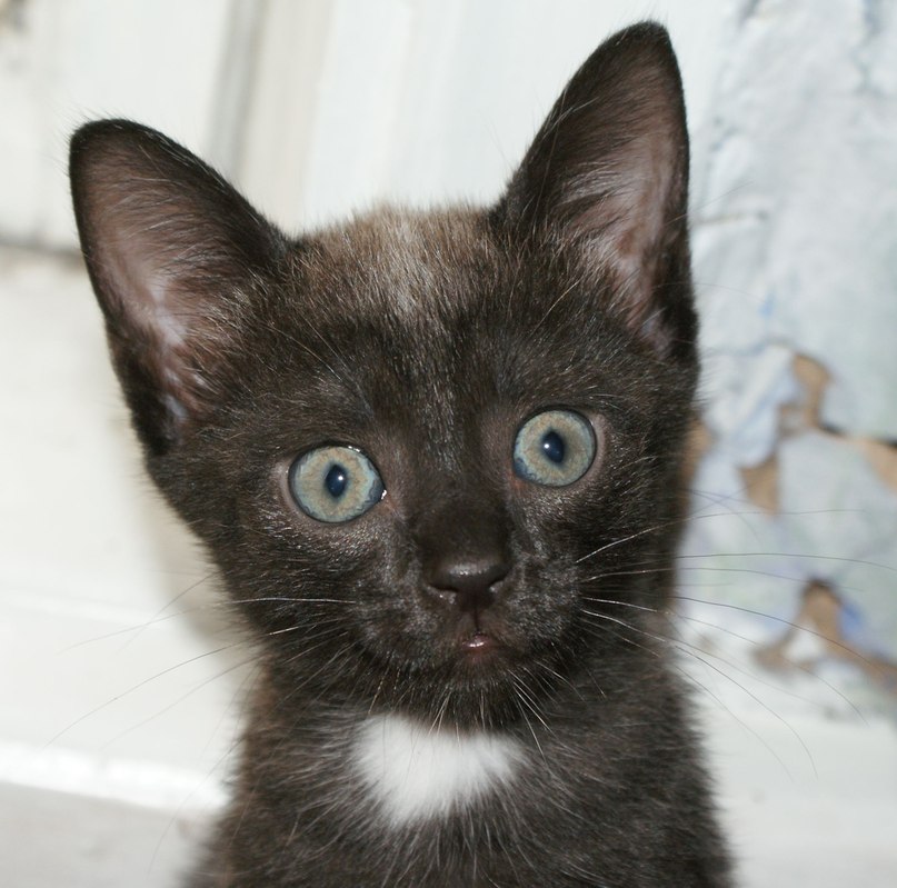 Maria Lu | Самара