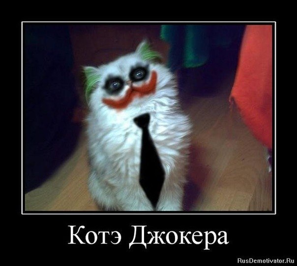 Данил Печёнкин | Ногинск