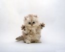 №40 Марта Орлова 15.02: профиль, фото, статус - ВКонтакте