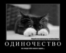 Фотография Смирнова Даниила